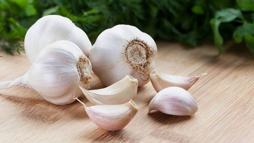 Garlic