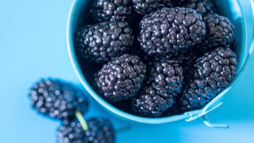 A mulberry in a blue bucket, on a blue background close up